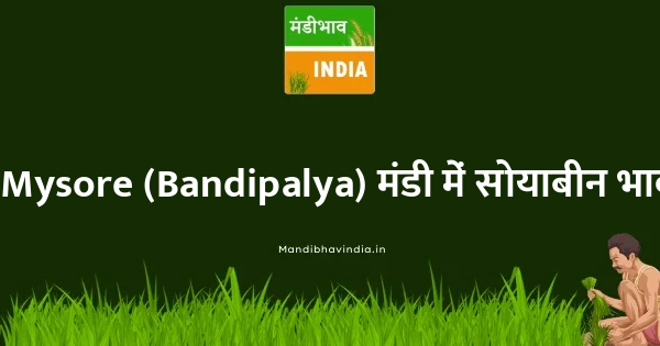 soyabean भाव